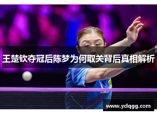 王楚钦夺冠后陈梦为何取关背后真相解析
