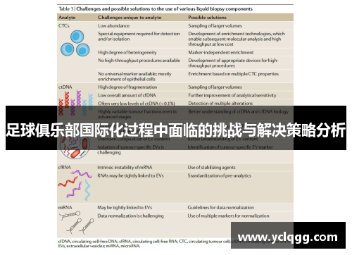 足球俱乐部国际化过程中面临的挑战与解决策略分析 足球俱乐部国际化过程中面临的挑战与解决策略分析
